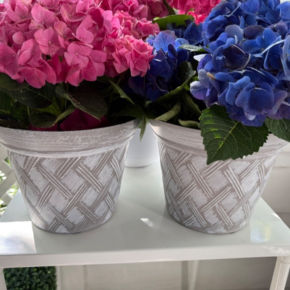 Meet your Posher, T - Picture 5 of 10